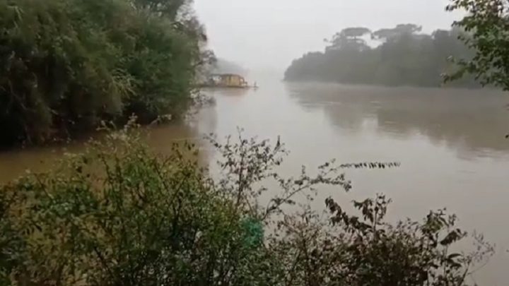 Vídeo: cabo rompe e balsa com passageiros e carro fica a deriva em SC