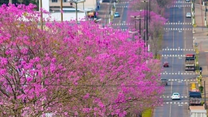 Primavera terá pouca chuva e calor em Santa Catarina