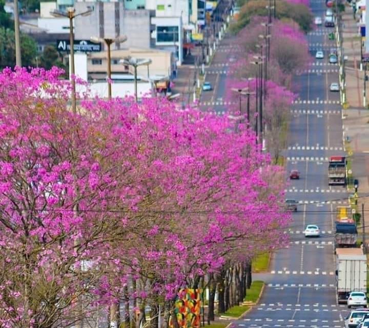 Primavera terá pouca chuva e calor em Santa Catarina