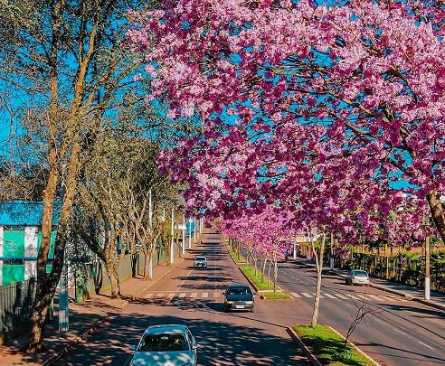 Primavera chega com atuação do fenômeno La Niña; veja os detalhes