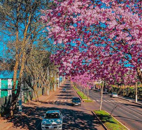 Primavera chega com atuação do fenômeno La Niña; veja os detalhes