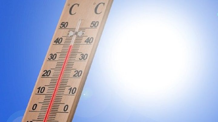 Calor? Agosto pode ter dias quentes após o frio intenso; veja quando