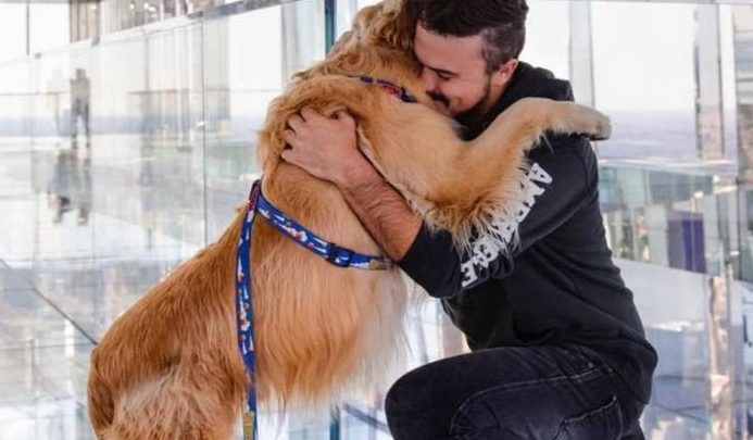 Cinzas de cão Shurastey, morto nos Estados Unidos, chegam a Santa Catarina