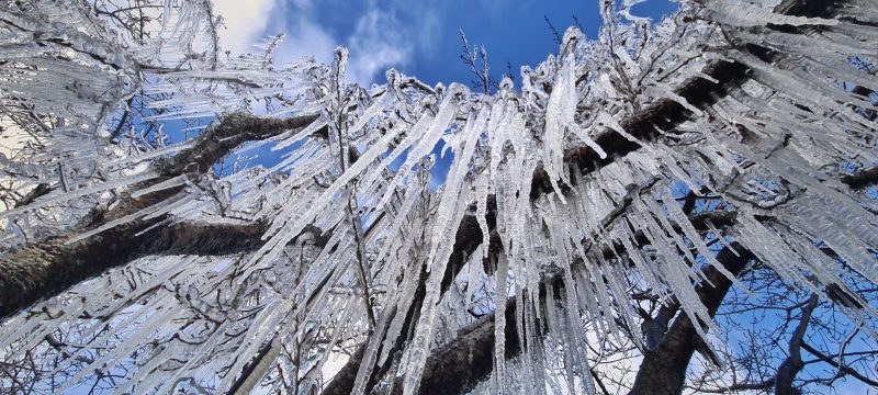 Novo ciclone extratropical deve afetar SC; veja quando na previsão