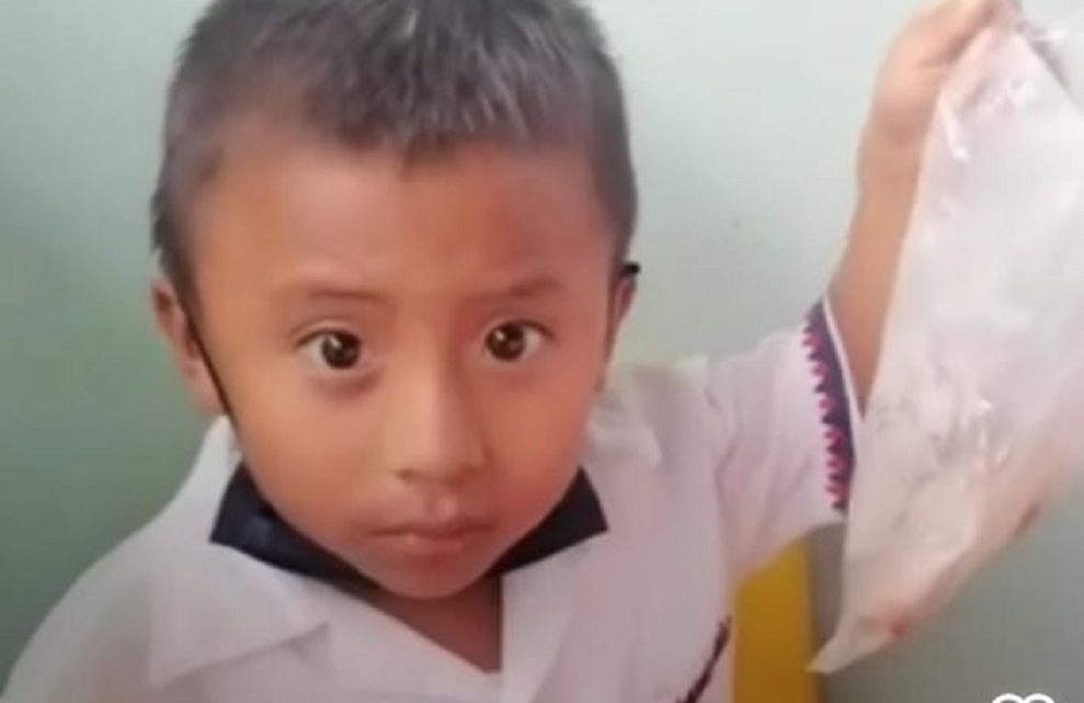 Vídeo: criança guarda merenda escolar para alimentar mãe