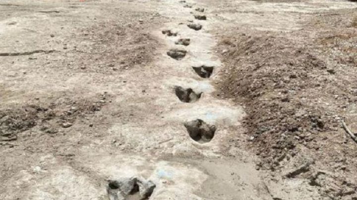 Vídeo: seca revela pegadas de dinossauros de 113 milhões de anos
