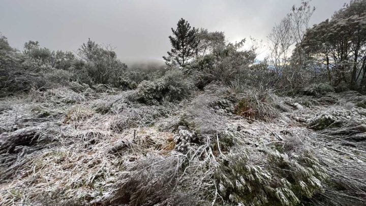 Primavera começa com registro de neve em SC; veja imagens e vídeos