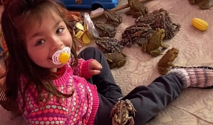 Menina de dois anos brinca na cama com sapos e surpreende mãe em SC; veja vídeo que viralizou