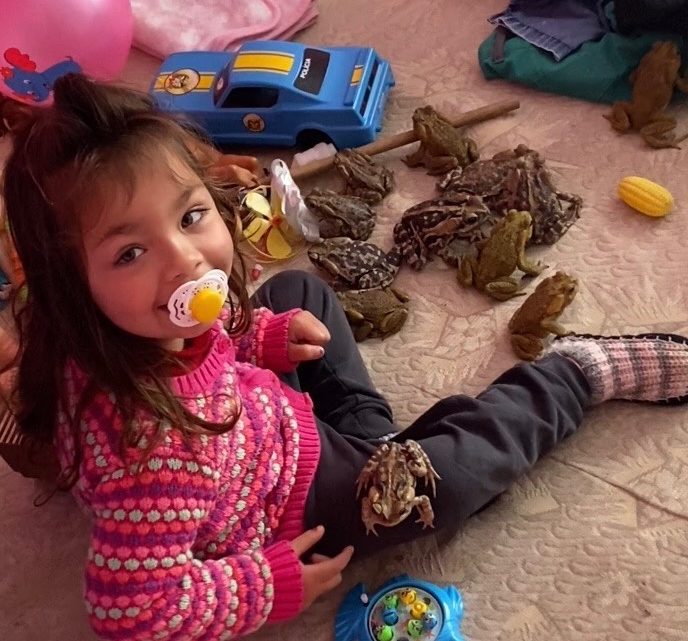 Menina de dois anos brinca na cama com sapos e surpreende mãe em SC; veja vídeo que viralizou