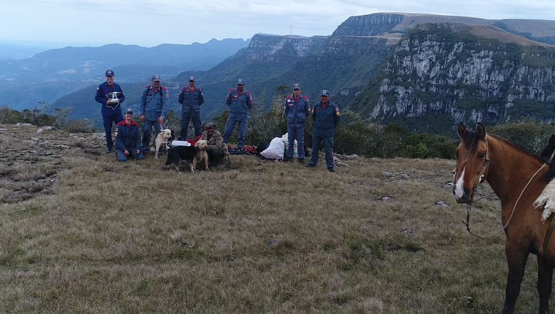 Vídeo: cães caem de penhasco de 50 metros de altura e são resgatados