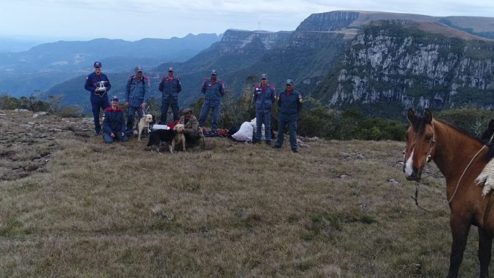 Vídeo: cães caem de penhasco de 50 metros de altura e são resgatados