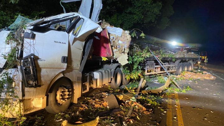 Homem morre e dois ficam feridos após caminhão colidir contra árvore no Oeste de SC