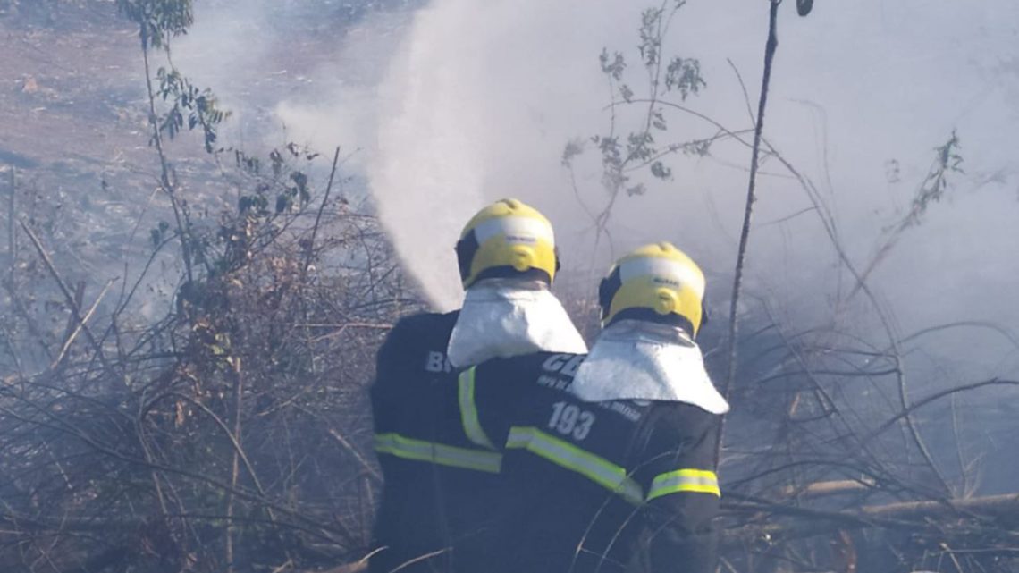 Vídeo: bombeiros combatem incêndio em vegetação em Itá