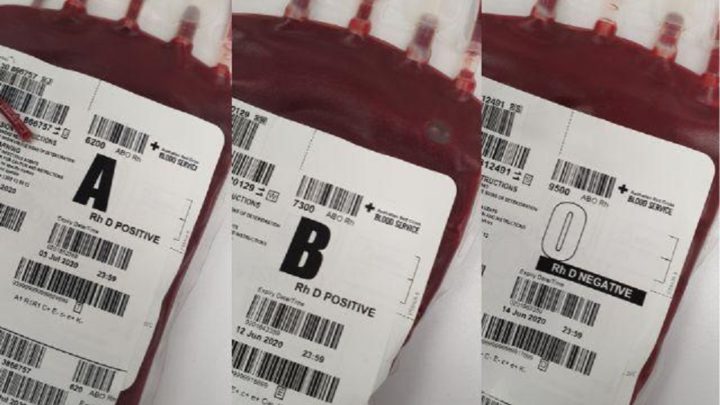 Cientistas descobrem novo tipo de sangue humano após 40 anos de mistério