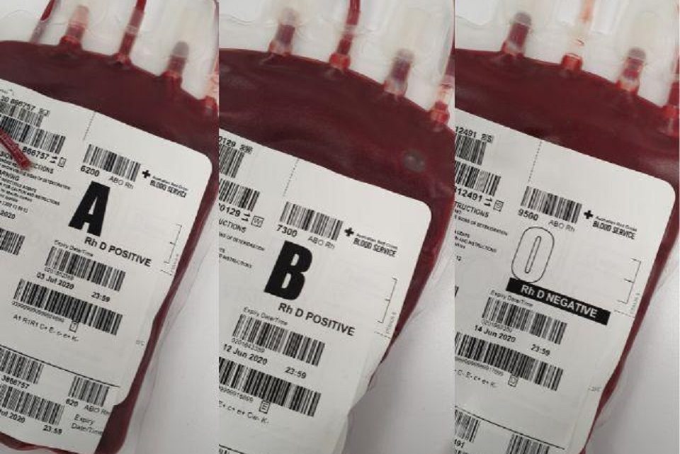 Cientistas descobrem novo tipo de sangue humano após 40 anos de mistério