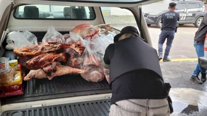 Vídeo: Força Tarefa apreende quase 1 tonelada de carne em SC