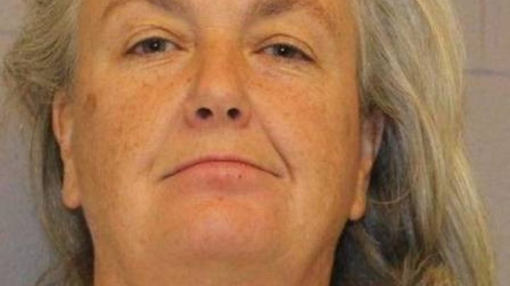 Mulher joga enxame de abelhas em policiais e é presa