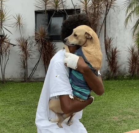 Vídeo: cadela espera seu tutor por dias em frente a hospital e reencontro emociona web
