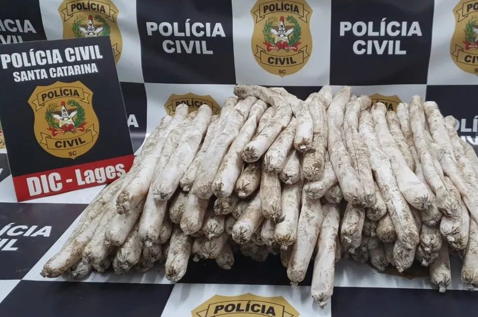 Polícia prende homem com 100 kg de explosivos que seriam usados para atacar presídio em SC