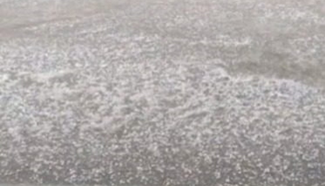 Vídeo: tempestade de granizo deixa ruas de Brusque “cobertas de gelo”