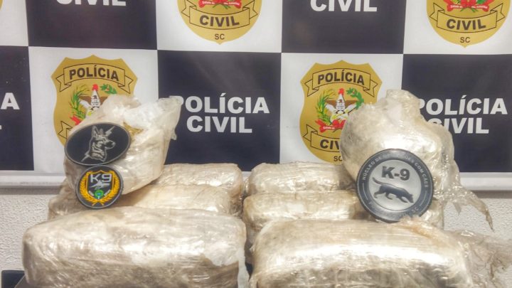 Polícia Civil apreende “Skunk” e realiza prisão em flagrante em SLO