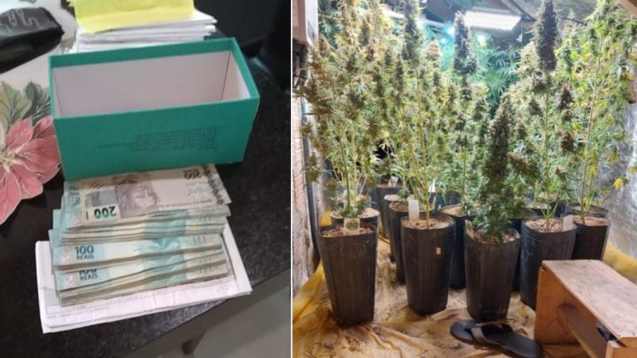Quadrilha desmascarada em SC lucrou milhões com tráfico de drogas por loja virtual