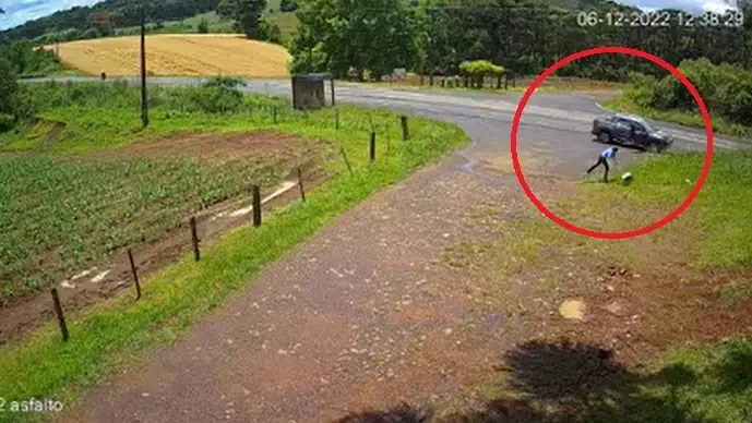 Vídeo mostra mulher abandonando cães ao lado de rodovia em SC
