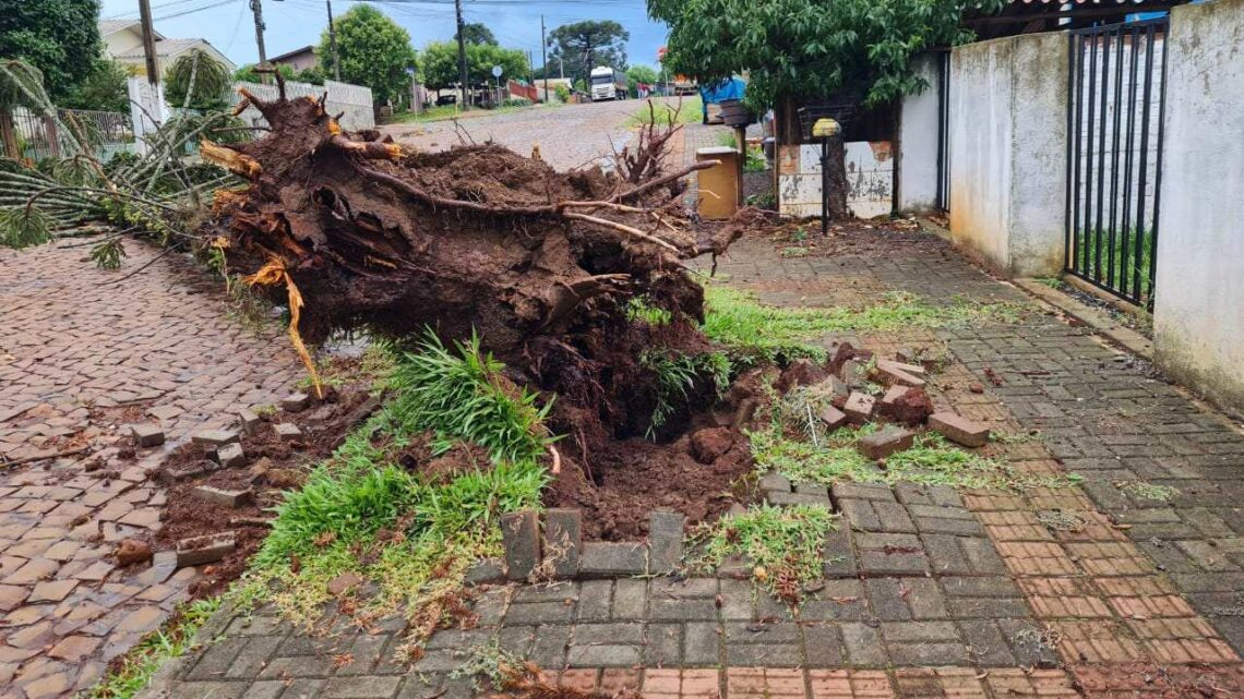 Microexplosão pode ter causado estragos no Oeste de SC