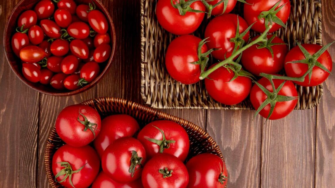 Dia do Tomate: conheça variedades e benefícios para saúde