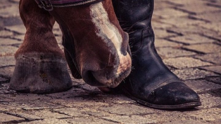 Homem é pisoteado por cavalo após cair durante cavalgada em SC