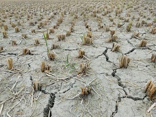 Clima esperado para os meses de março, abril e maio/2023: previsão e riscos associados