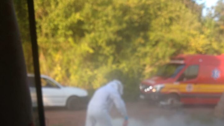 Bombeiros salvam homem atacado por enxame de abelhas em SMO