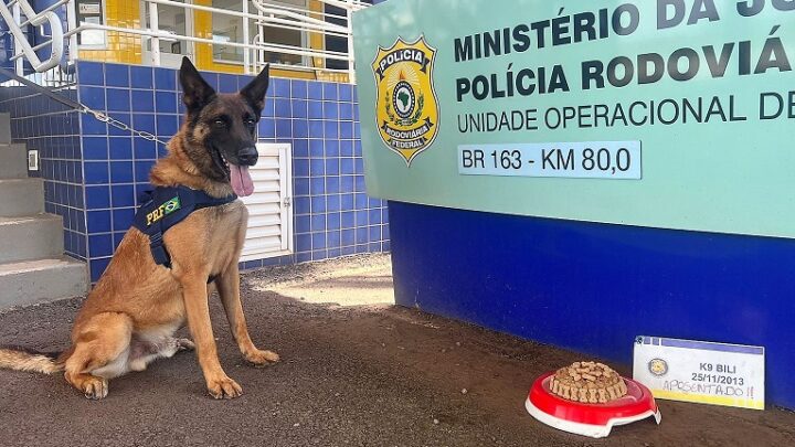 Vídeo: cão farejador Bili se aposenta da PRF após 9 anos de bons serviços