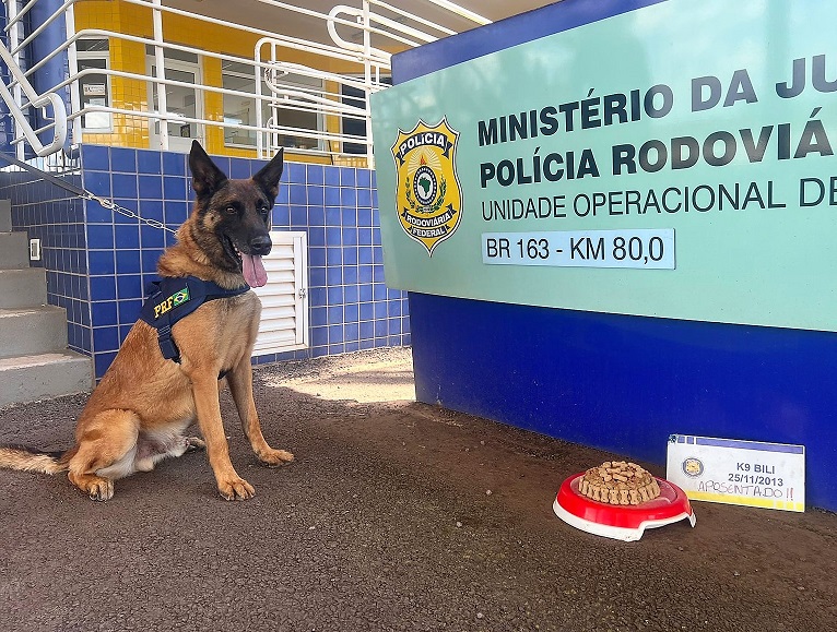 Vídeo: cão farejador Bili se aposenta da PRF após 9 anos de bons serviços