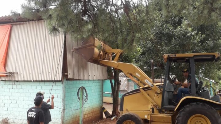 Vídeo: prefeitura de Chapecó realiza desocupação em área do Parque da Efapi