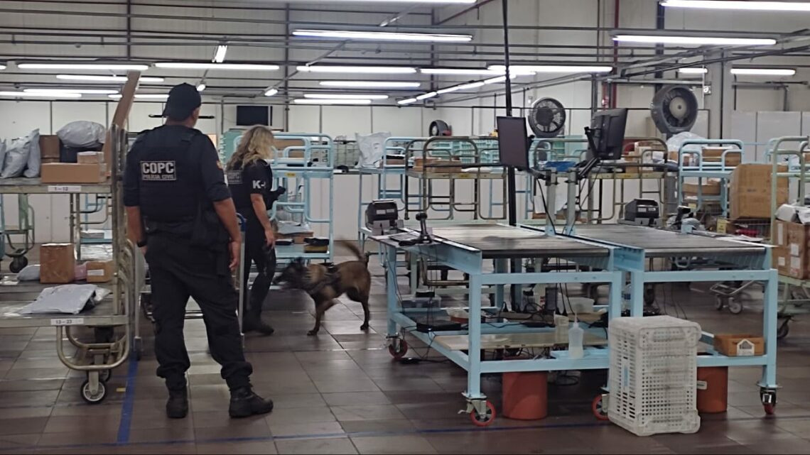 Polícia Civil realiza operação com cães na prevenção de crimes por via postal em Chapecó