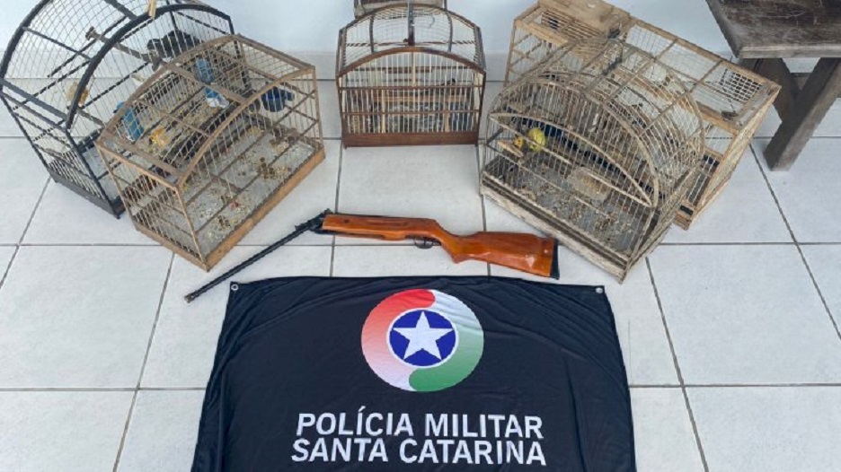 PMA resgata aves silvestres em cativeiro e prende homem com arma de fogo em SC