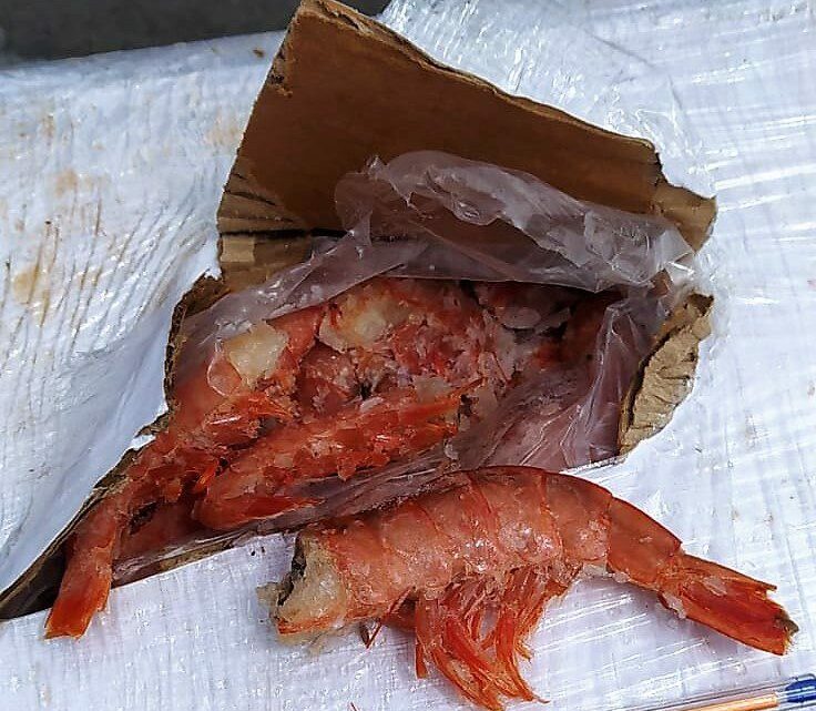 Homem é preso após contrabandear mais de 4 mil quilos de camarão em SC