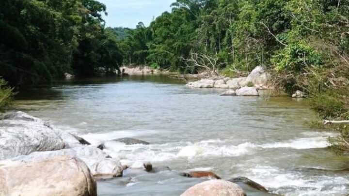 Corpo de criança é encontrado às margens do Rio Cubatão