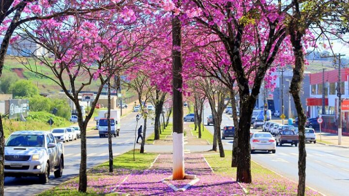 Temporais e sol entre nuvens: os últimos dias do inverno em SC