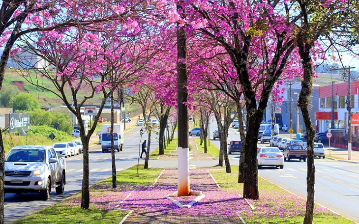 Confira como fica o tempo para o fim de semana em Santa Catarina