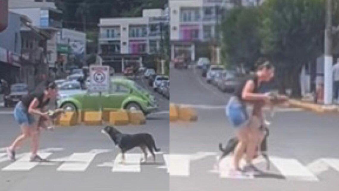 Cena de mulher ajudando cachorros a atravessar a rua é compartilhada e emociona; veja