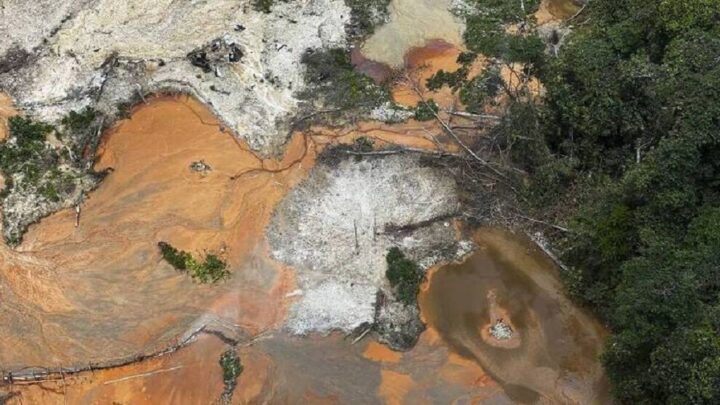 Amazônia tem pior fevereiro em nove anos; governo Lula precisa dar respostas, dizem ambientalistas