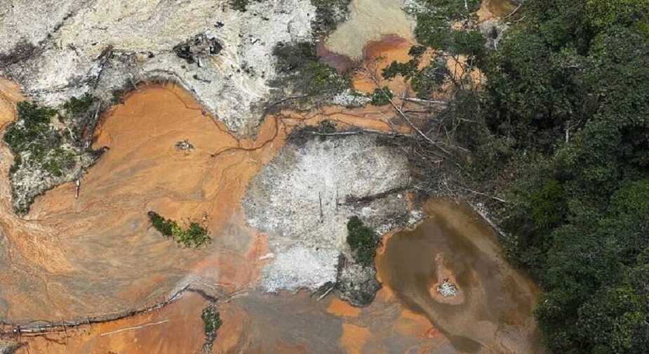 Amazônia tem pior fevereiro em nove anos; governo Lula precisa dar respostas, dizem ambientalistas