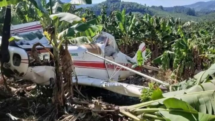 Vídeo: avião agrícola cai enquanto sobrevoava bananal em SC