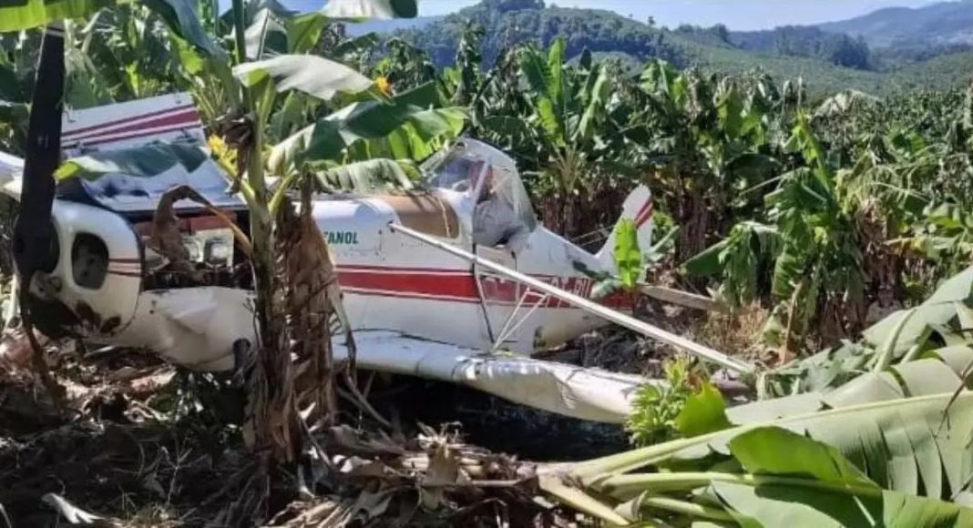 Vídeo: avião agrícola cai enquanto sobrevoava bananal em SC