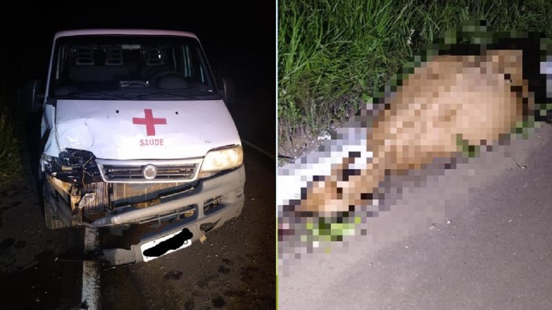 Ambulância atropela e mata animal na SC-390 na Serra Catarinense