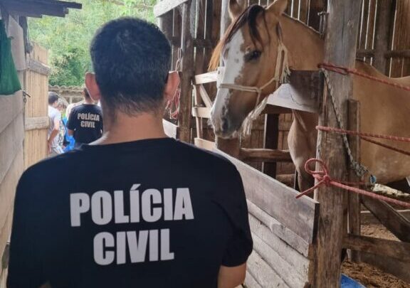 Polícia Civil prende homem por maus-tratos de 65 animais em SC