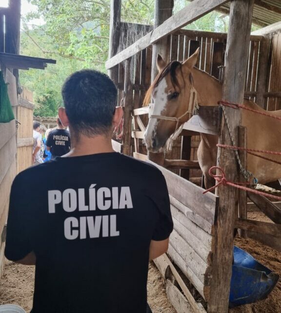 Polícia Civil prende homem por maus-tratos de 65 animais em SC
