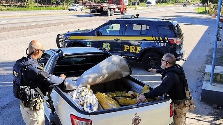 Homem tenta usar farinha para esconder 300 kg de maconha e acaba preso em SC